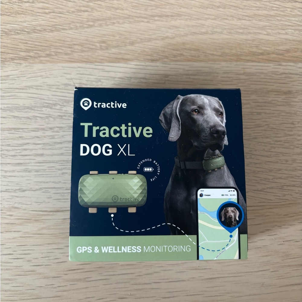 Active USA Green Dog Collar